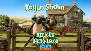 Koyun Shaun Mayısta Her Gün Minikagoda