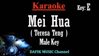 Mei Hua (Karaoke) Teresa Teng /Deng Li Jun Mandarin Male key E