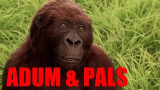 Adum & Pals: Congo