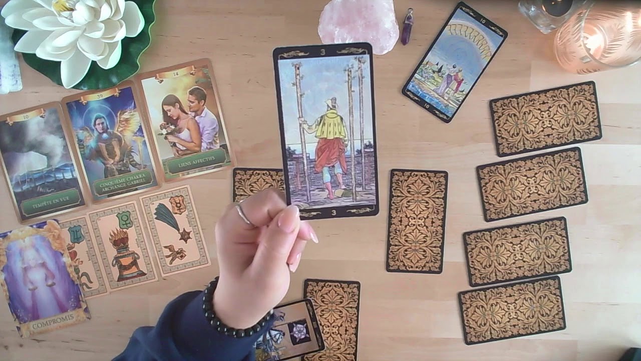 Lion novembre 2019 YouTube