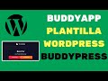 ✅ BUDDYAPP ➡️MEJOR PLANTILLA PARA BUDDYPRESS 2019