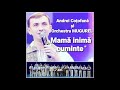 Andrei Coțofană și Orchestra MUGUREL- Mamă inimă cuminte