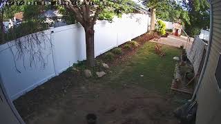 Bosma EX Outdoor Camera 30 second video from audio detection screenshot 4
