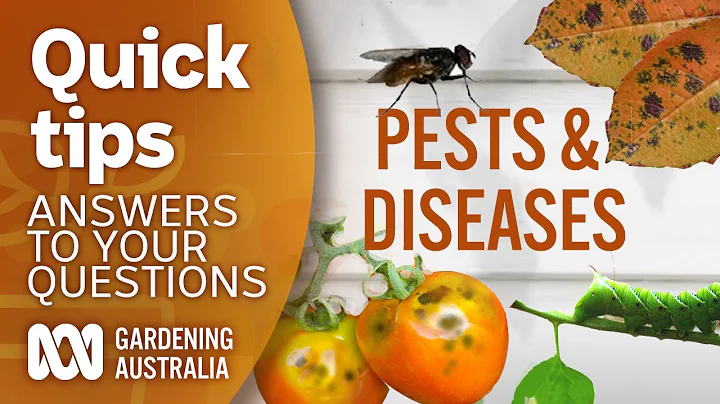 Pests/ diseases | Your questions | Our answers | Gardening Australia