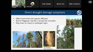 Mar 19, 2026 Seattle IPM Webinar