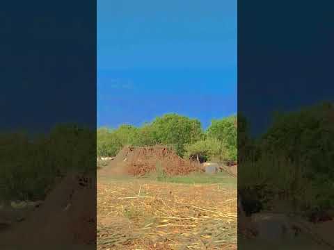 sunset new video#sad #love #viral #viral #militarypowe #dancemusic #shortvideo #subscribe #trending