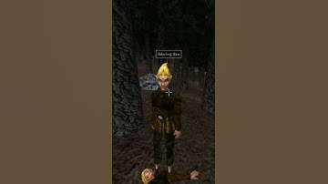 Killing the adoring fan in Morrowind every day until Skywind and Skyblivion are released Day - 357
