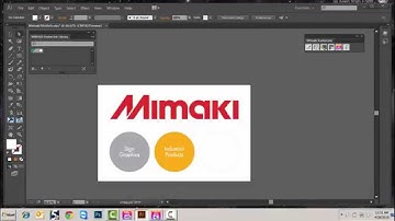 Setting Up Silver & White Inks in RasterLink 6