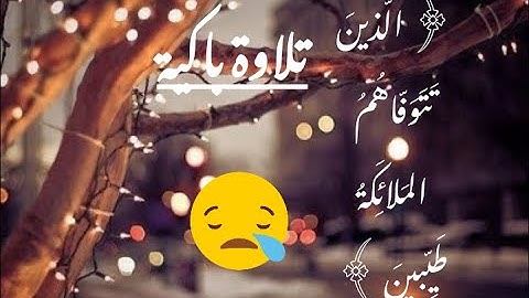 ﴿الَّذينَ تَتَوَفّاهُمُ المَلائِكَةُ طَيِّبينَ ﴾ تلاوة مؤثرة ما تيسر من سورة [النحل]الشيخ محمد عباده