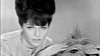 Get Smart Extras S00e09 @ Barbara Feldon Top Brass Hair Care Commercial, 1964