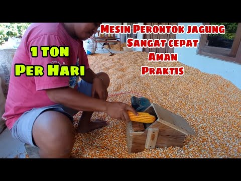 Cara Memipil Jagung