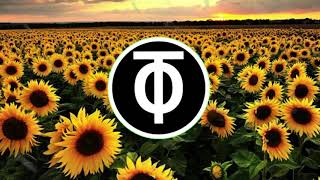 Post Malone, Swae Lee - Sunflower (M&T Music Remix)