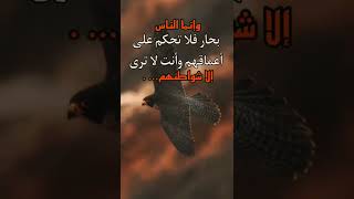 حالات واتس عبارات 