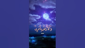 تلاوه هادئه /سورة الروم 🍃د/ محمد اللحيدان