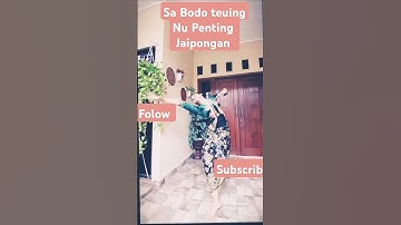 Jaipong Sa Bodo Teuing #feedshorts #jaipong #shortvideo #subscribe #video #geboy #goyang #geol #pov