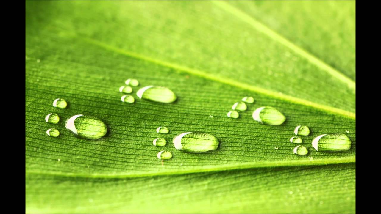 Turning over a new leaf as an Entrepreneur