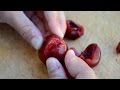 Easiest way to pit a cherry - chopstick and beer bottle