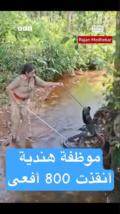      
 - نشر قبل 17 دقيقة
