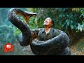 Anaconda Cursed Jungle 2024 BONE CRUSHING Poacher Massacre 1 11 Movieclips 