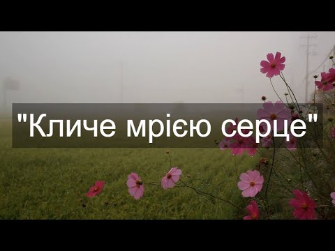 Кличе мрією серце укр версія Манит сердце мечтою Християнська музика