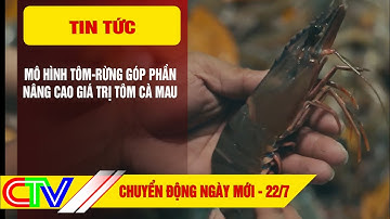 Chuyển động ngày mới 22.7.2023 | Mô hình tôm-rừng góp phần nâng cao giá trị tôm Cà Mau.