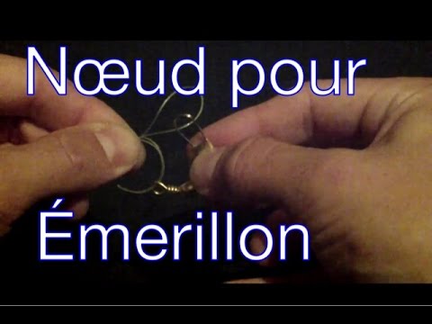 Pourquoi il y a un filet veineux