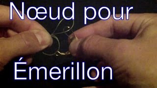 Nœud pour Emerillon (nœud palomar)