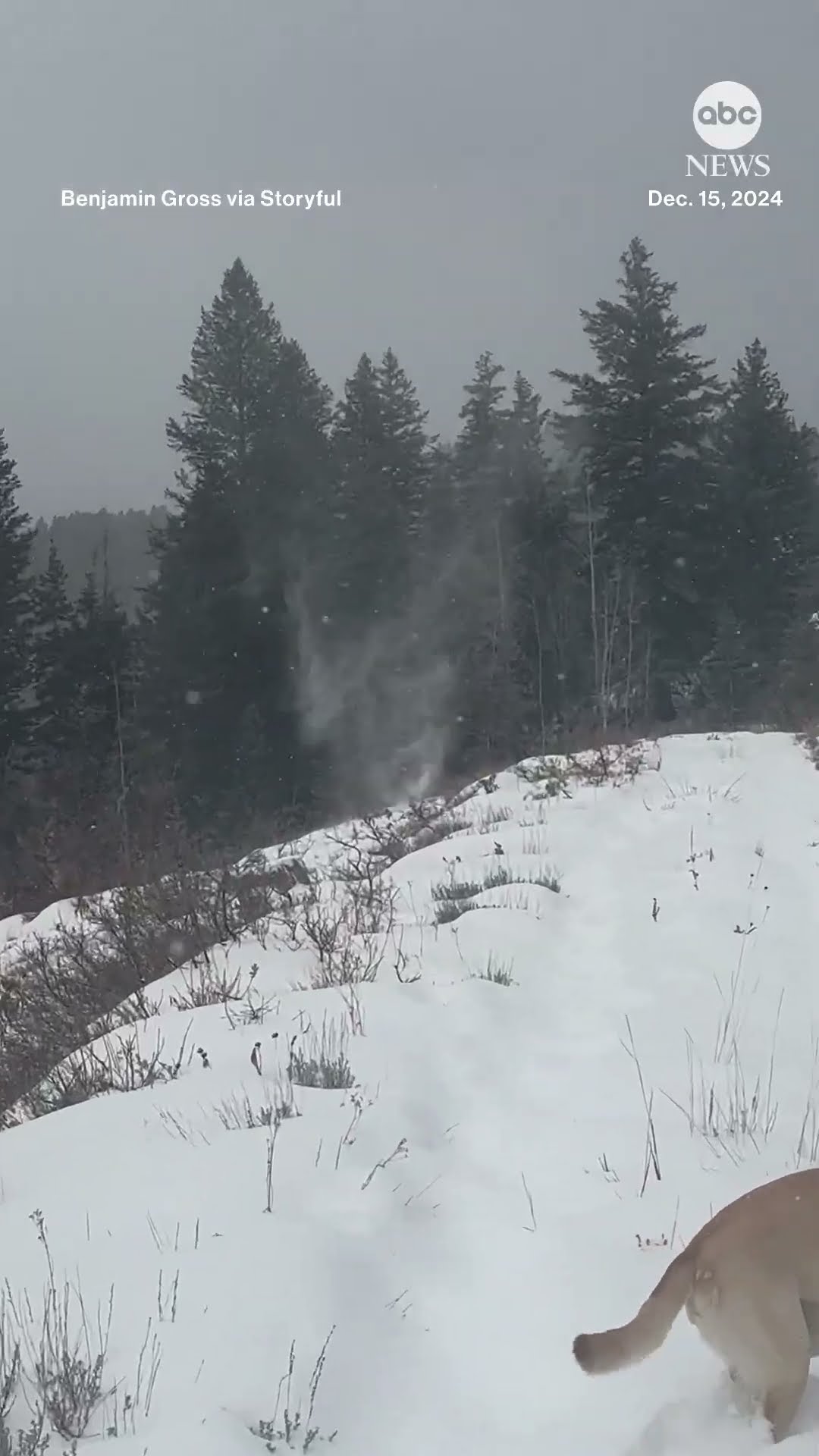 Rare 'snownado' spotted during Utah winter storm