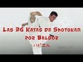 LAS 26 KATAS DE SHOTOKAN  por Baldor ハビエル  1ª edición.