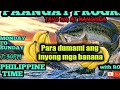 LIVE|PAANGAT PROGRAM HELPING SMALL YOUTUBER 20-30SUBSCRIBERS