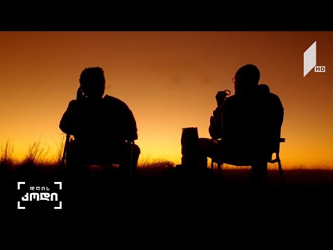 #დღისკოდი  სერიალების კულტურა საქართველოში - ანო ფრანგიშვილის სიუჟეტი