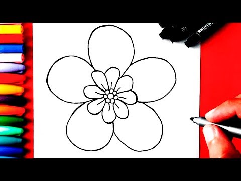 Vídeo: 5 maneiras de desenhar um pato