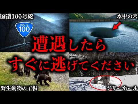 【ゆっくり解説】遭遇したら絶対に逃げるべき危険なモノ６選【Part5】のサムネイル