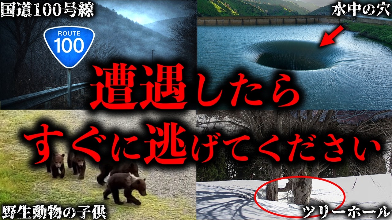【ゆっくり解説】遭遇したら絶対に逃げるべき危険なモノ６選【Part5】
