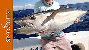 Huge Dogtooth Tuna Destroys Live-bait at Rodrigues Island 🎣