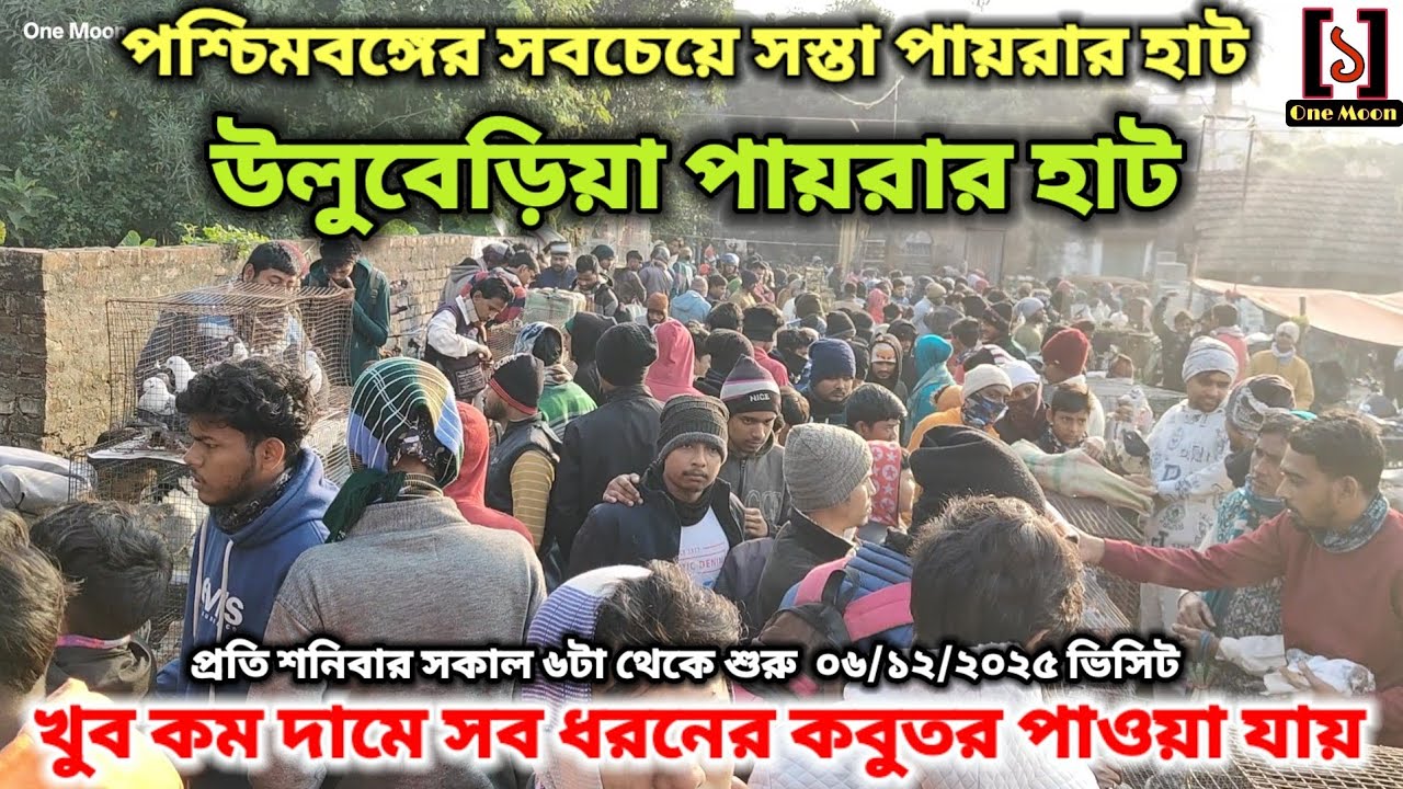 উলুবেড়িয়া পায়রার হাট | Cheapest Pet Market In Kolkata | Uluberia Pigeon Market 06/12/2025 Visit 