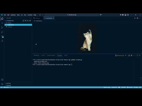 This Python Code Removes Backgrounds INSTANTLY - No Photoshop Needed!