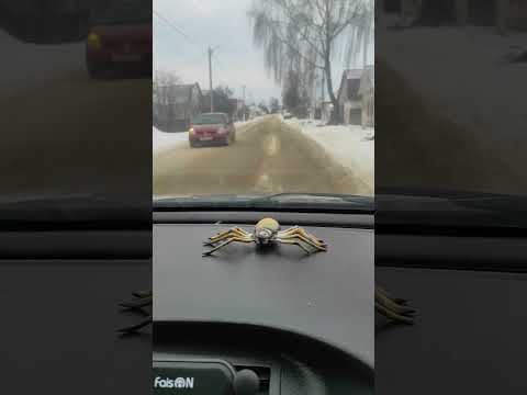 Сураж ул красноармейская .Безопасность на дорогах зимой не важна.