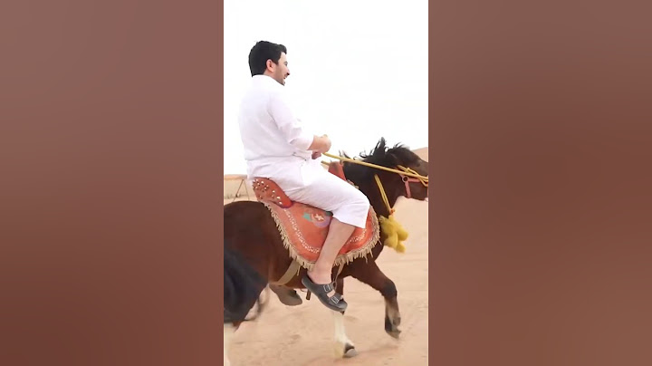 ابو عبير الفارس 😂🐎 #فالكونز #ابو_عبير