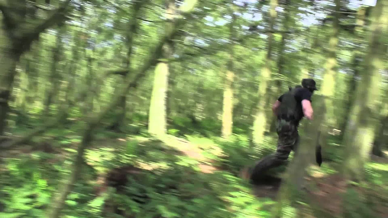 Wasp Attack Scotland 2011