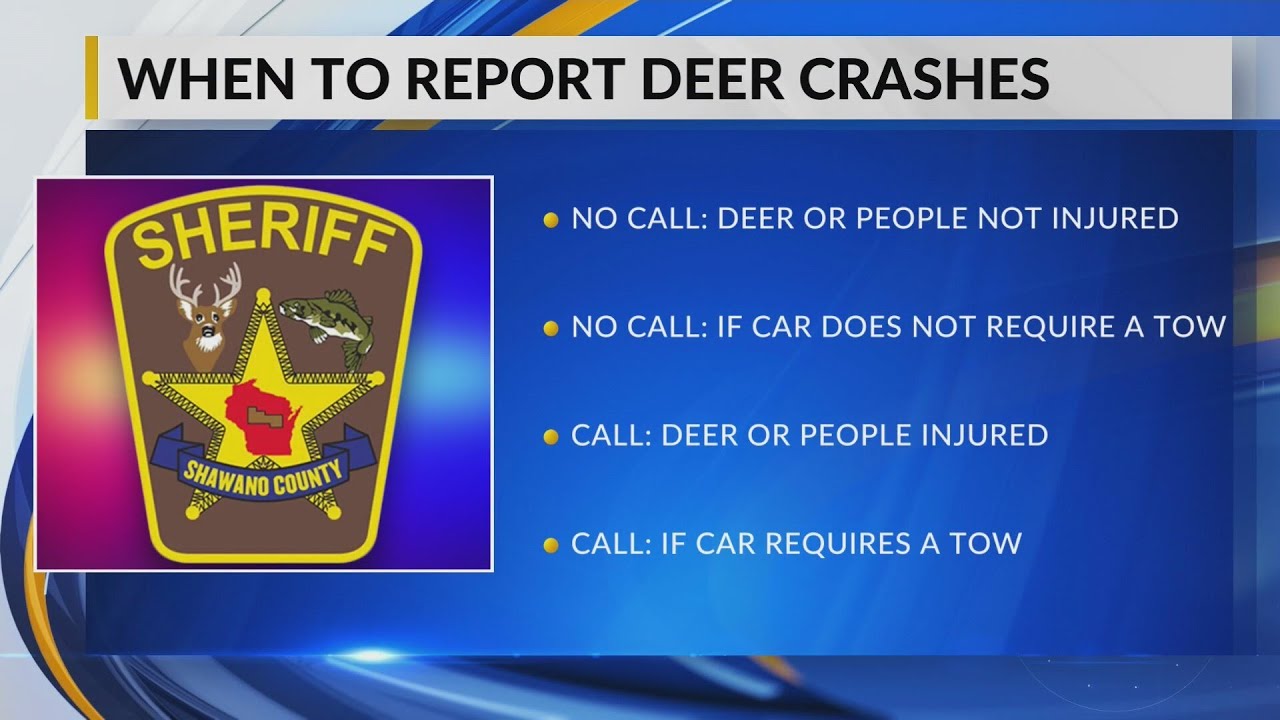 Increase in deer activity, WisDOT urges drivers to be cautious