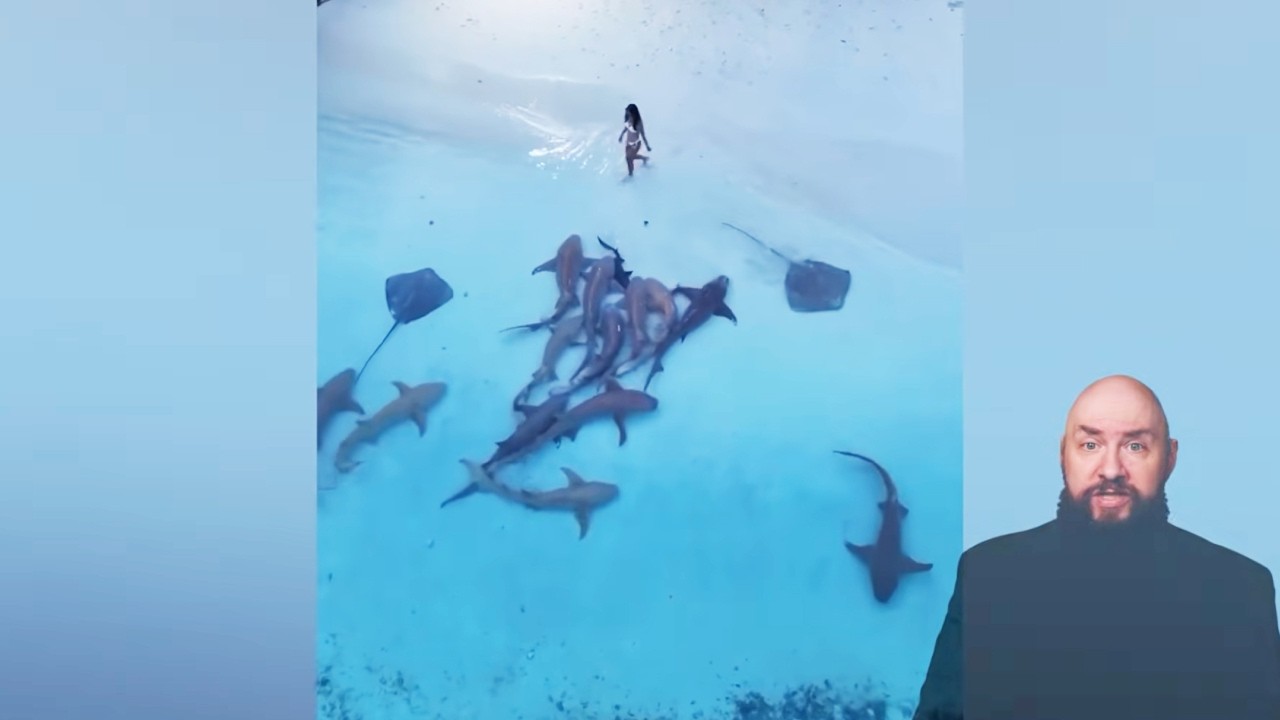 Captivating Moments Captured on Film – Video