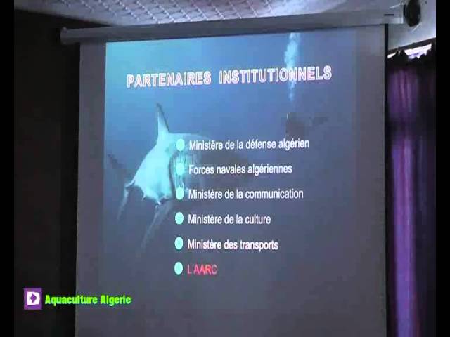 خاص : الدكتور أمير بركان يحاضر حول استكشاف تنقل سمك القرش الابيض في الجزائر