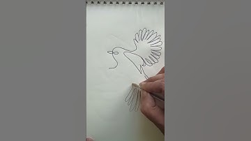 Bird One Line Drawing #shorts #foryou #art #onelinedrawing #nonstoplinedrawing