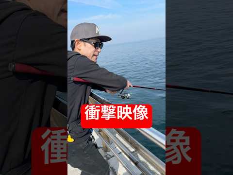 衝撃映像 #shorts #short #釣り