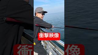 衝撃映像 #shorts #short #釣り