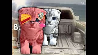 Wellcome to brazil trend but cat sim