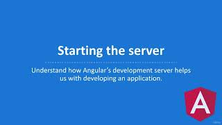 05 Starting The Server - Angular Tutorial Net Worth