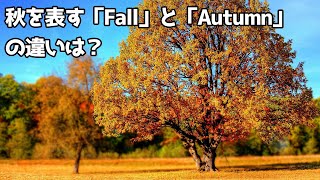 The difference between 'Fall' and 'Autumn'