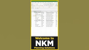How to check Resources, Gantt chart on the quarter split-screen in MS Project.